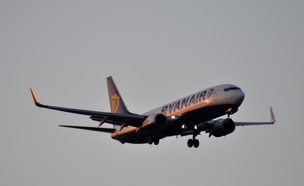 DSC_1546-1.jpg