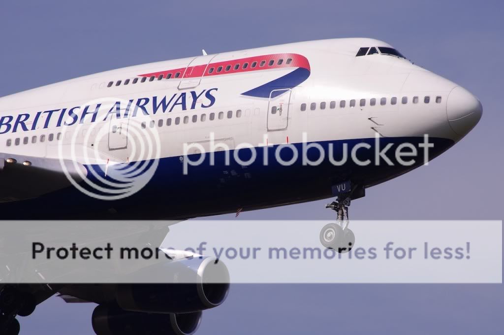 IMGP1484.jpg