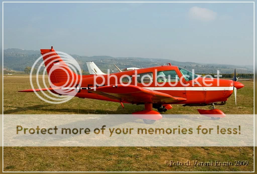 DSC_5306.jpg