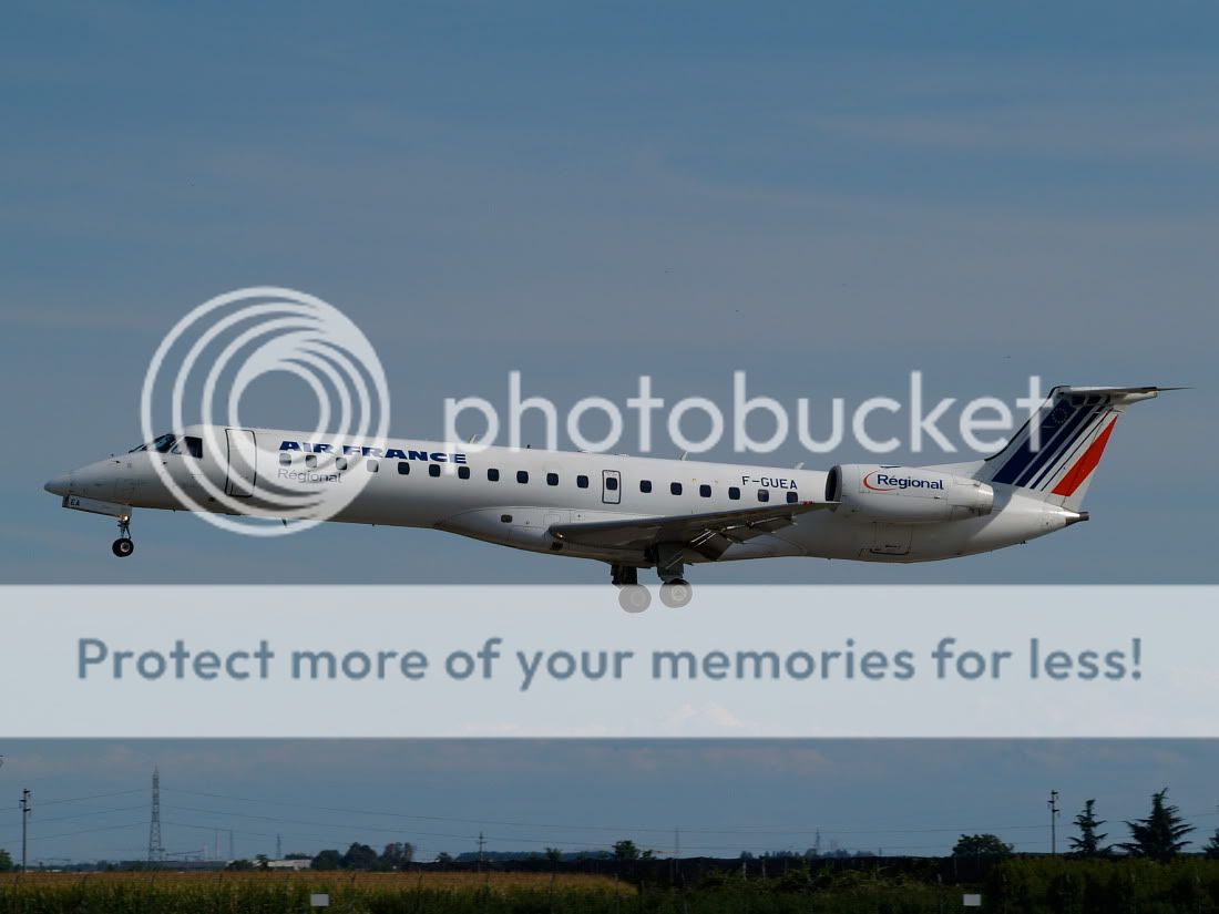 AM169464.jpg