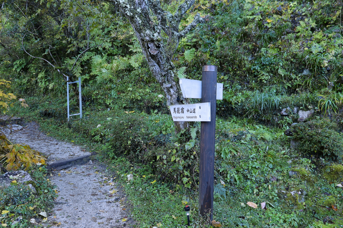 475.jpg