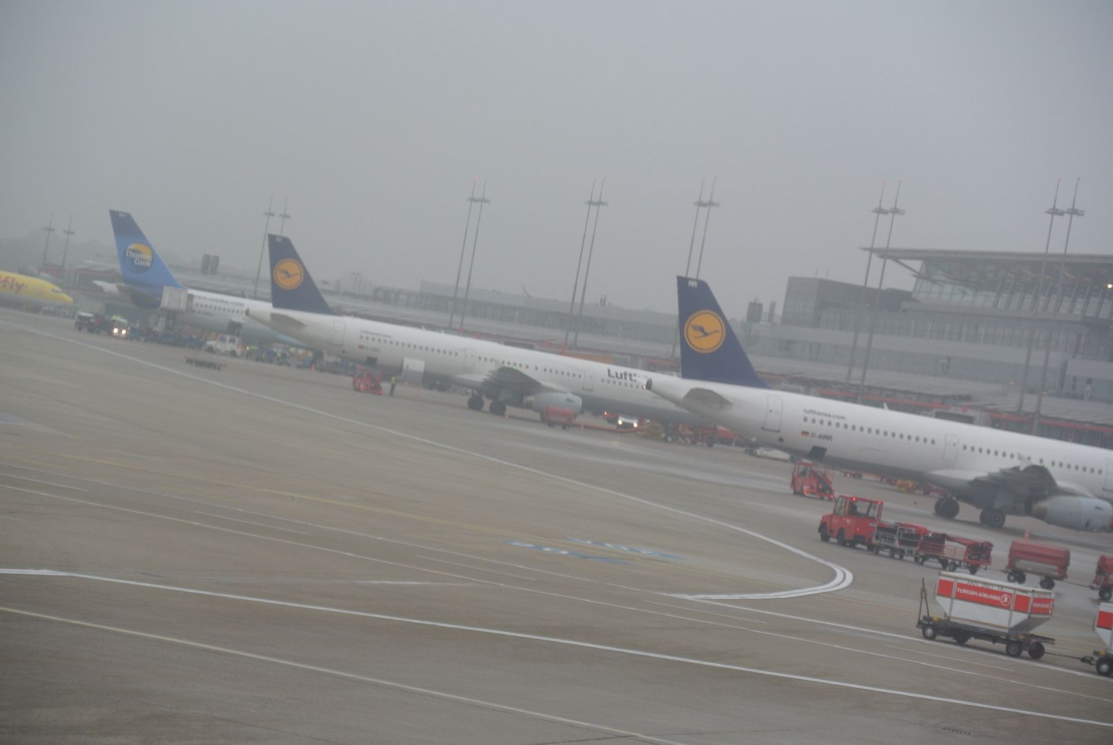 DSC_1550.jpg