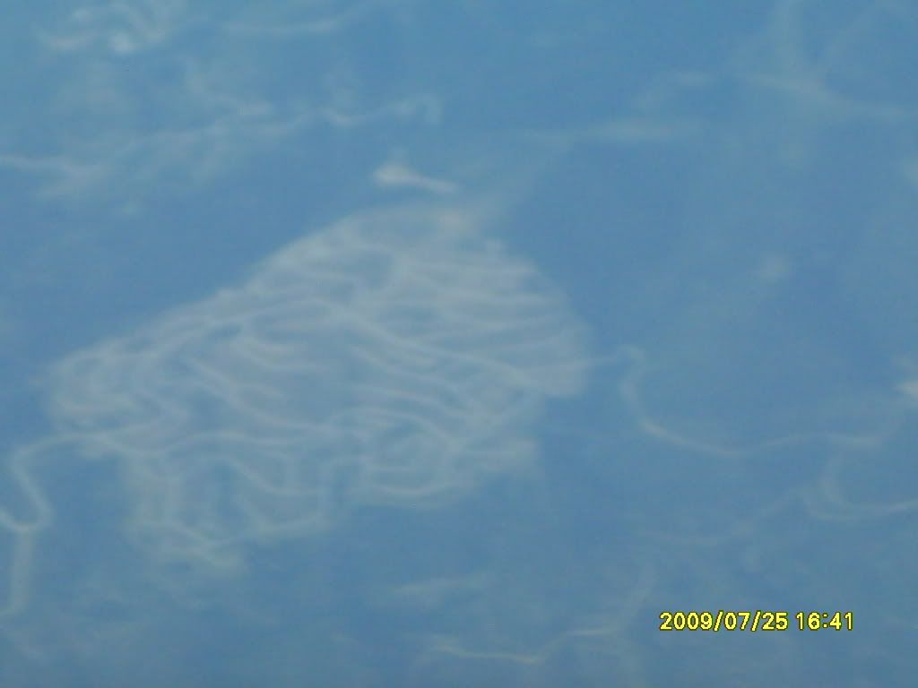 SDC10886.jpg