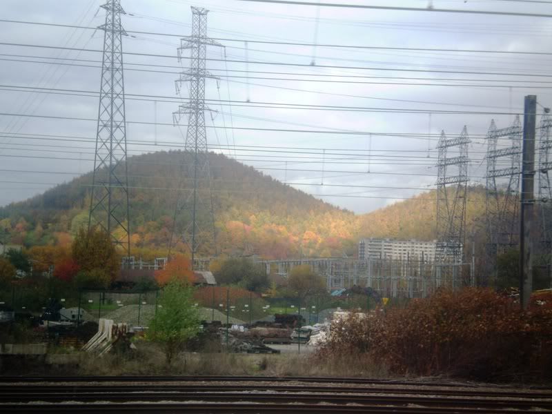 PB040217.jpg