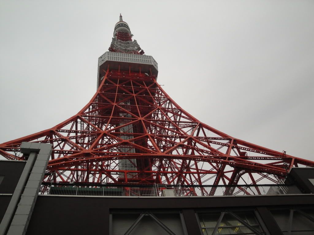 DSC01788.jpg