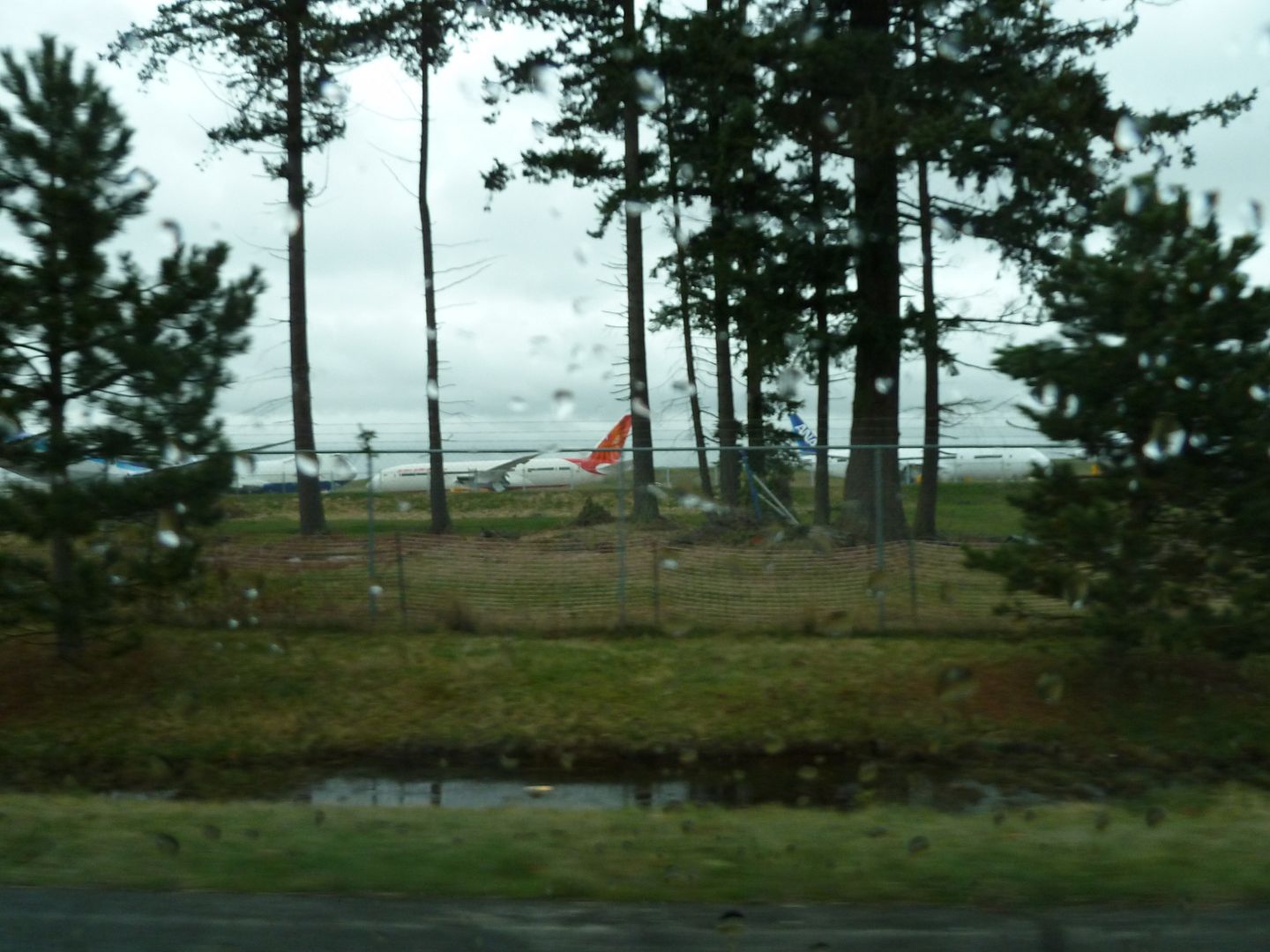 P1020135.jpg