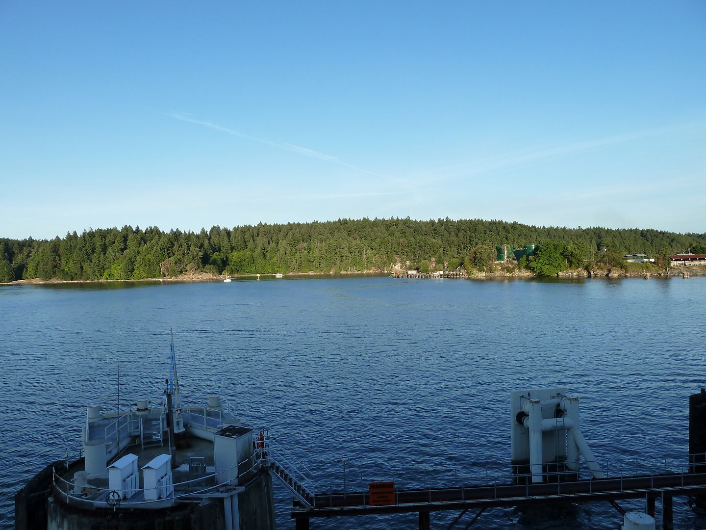 P1010253.jpg