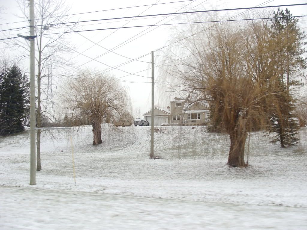 DSC09992.jpg
