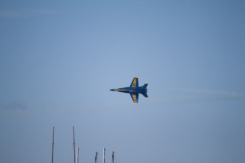 IMG_5658.jpg