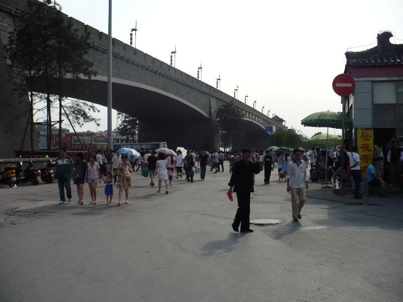 P1010574.jpg