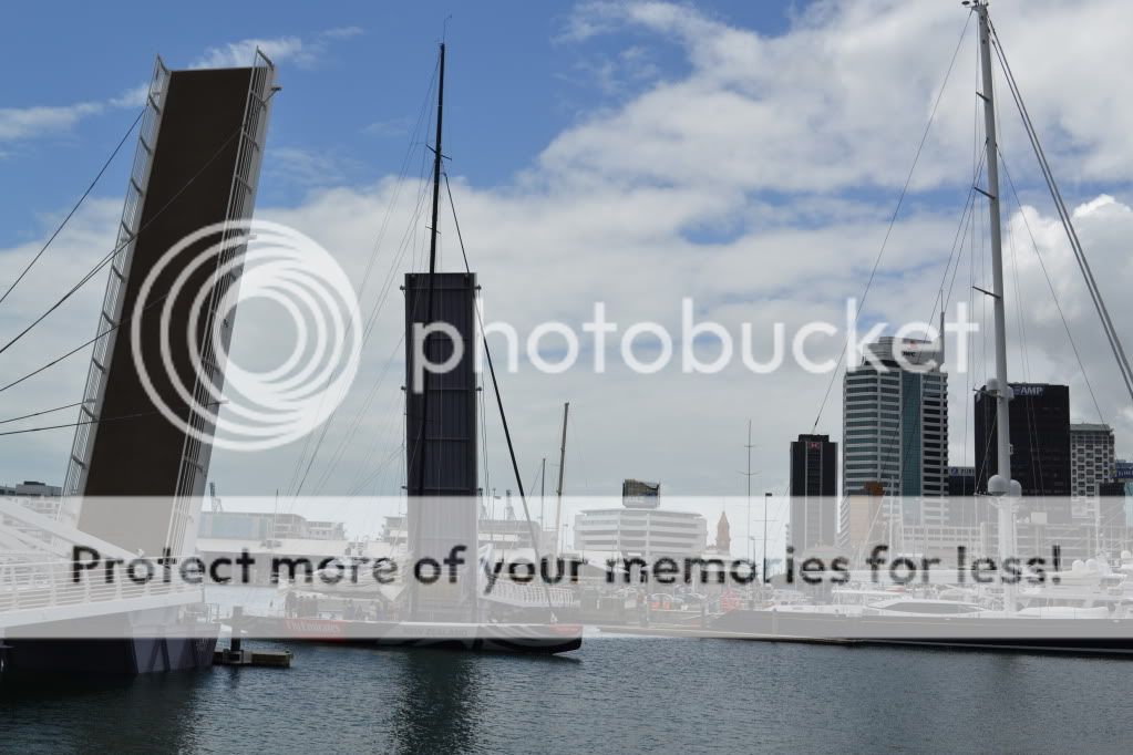 DSC_1015.jpg
