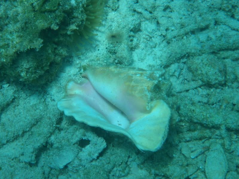 P8141943.jpg