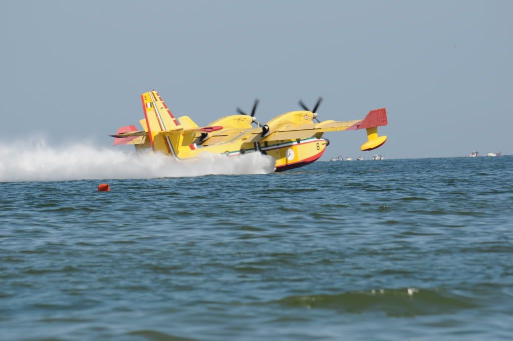 DSC_0298.jpg