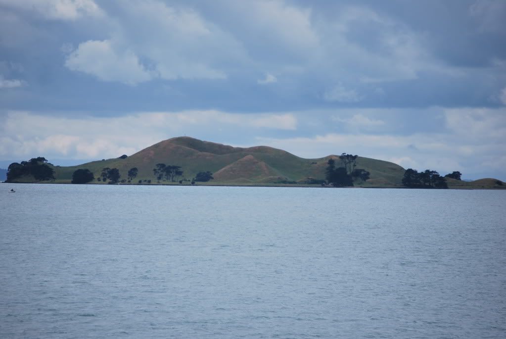 DSC_9605.jpg