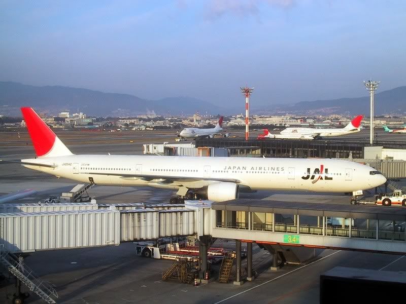 jal773_5.jpg