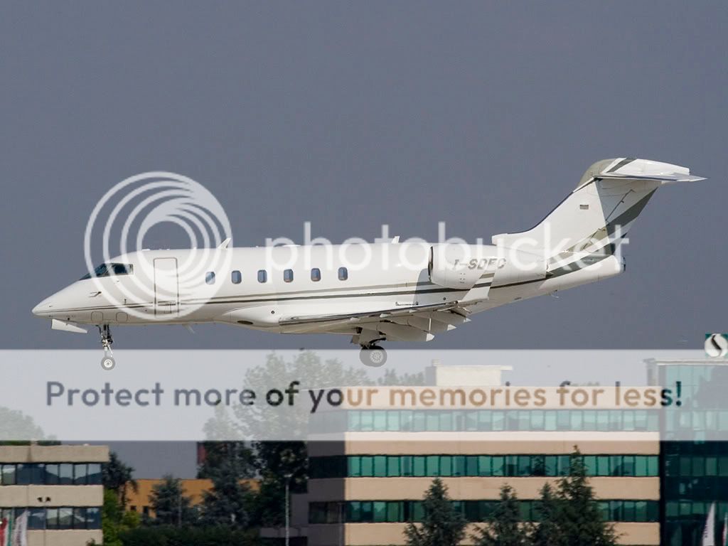 lin13050827.jpg