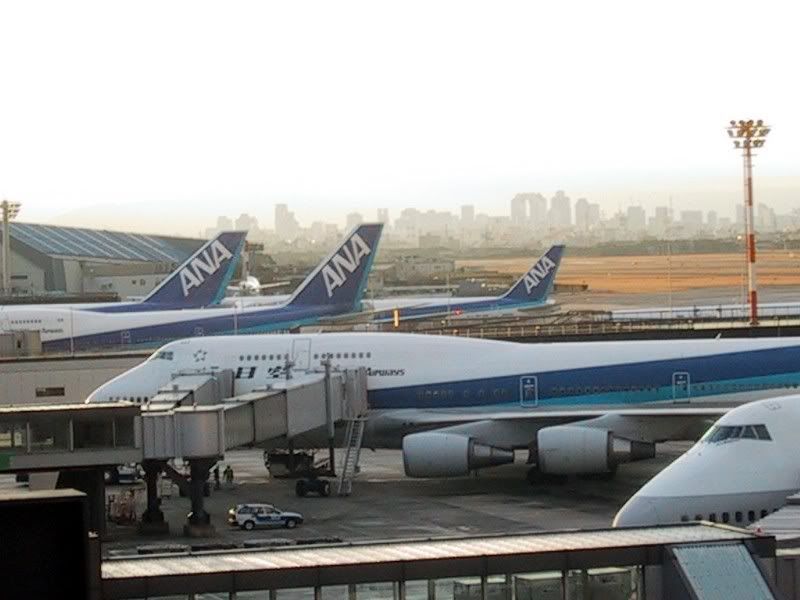 ana744D_1.jpg