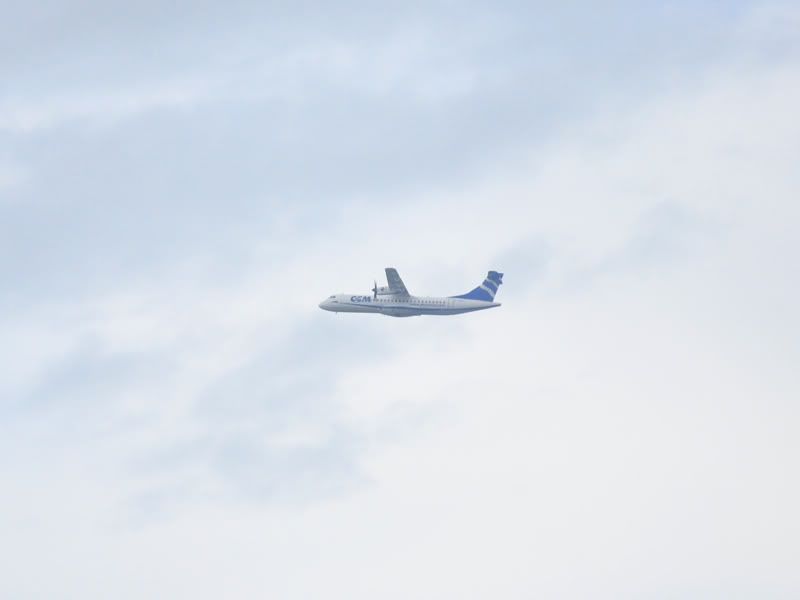 DSC_0049.jpg