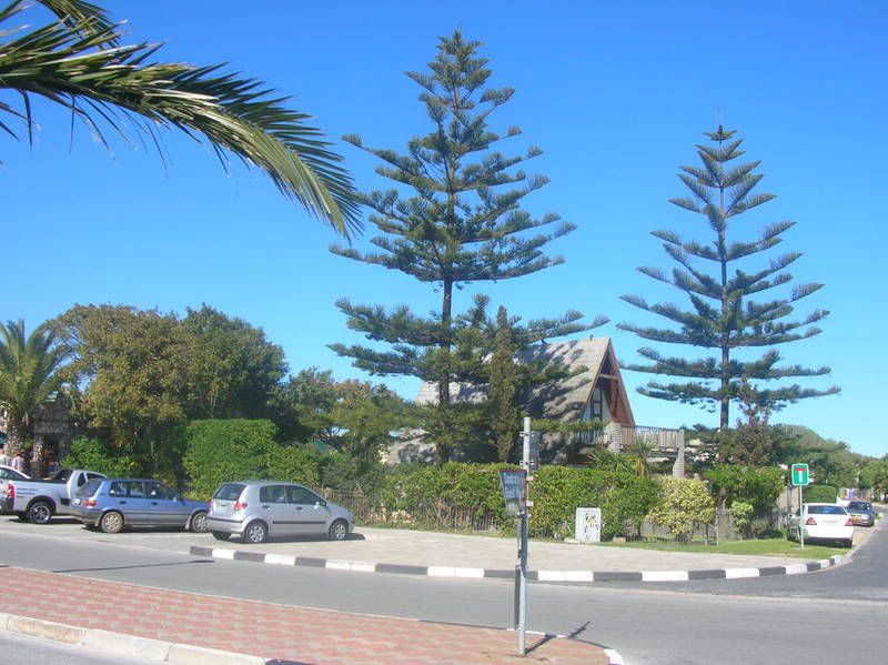 DSCN5377.jpg