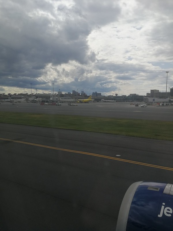 48795165451_e0702b044a_c.jpg