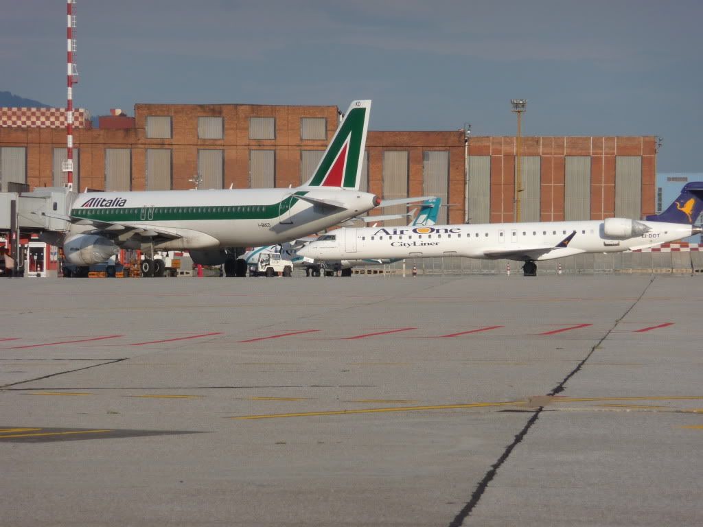 P1160365-1.jpg