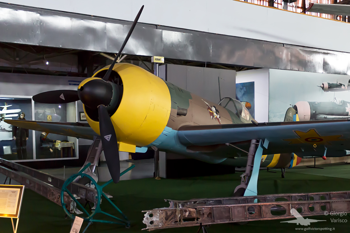 _MG_3371_250819.jpg