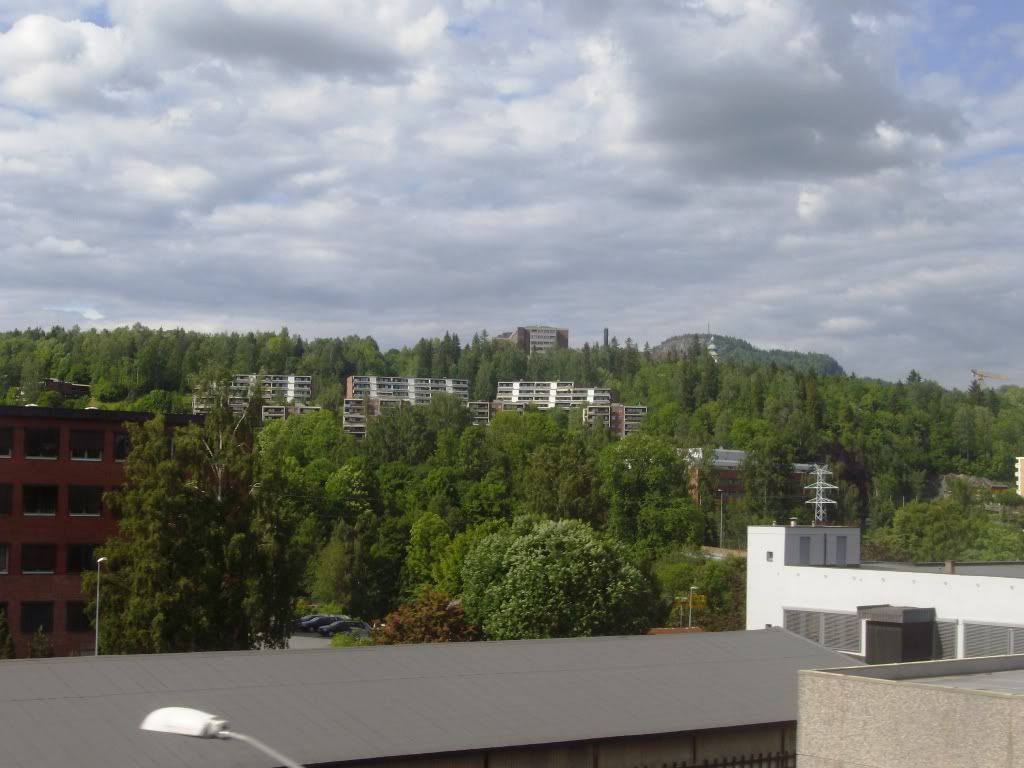 IMGP3209.jpg