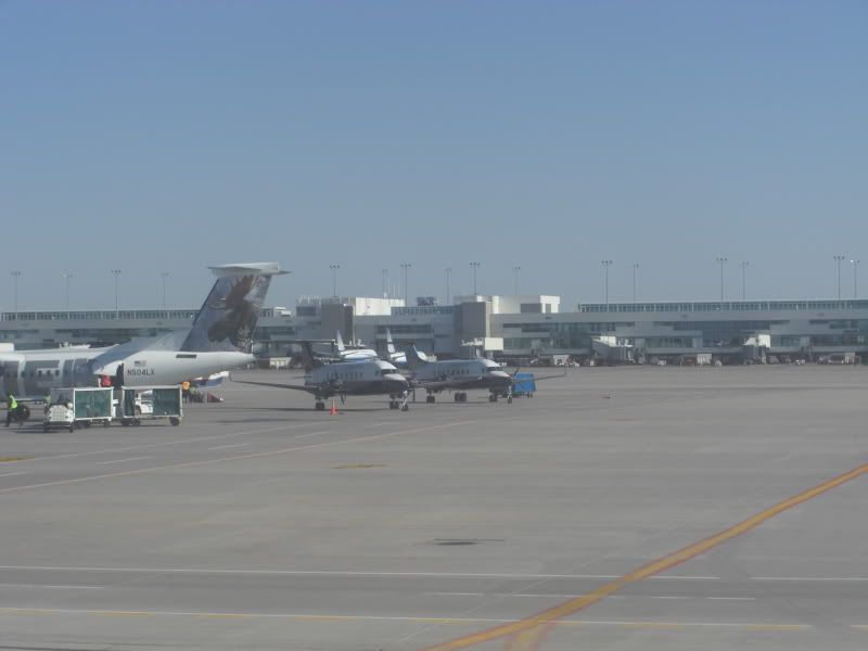CIMG4491.jpg