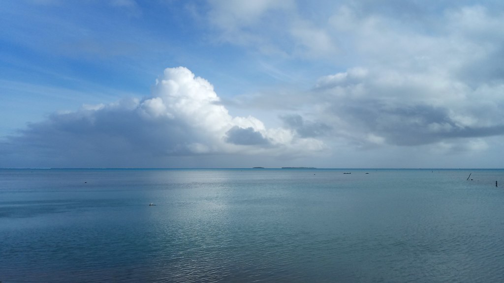 54754035903_b304a6ff84_b.jpg