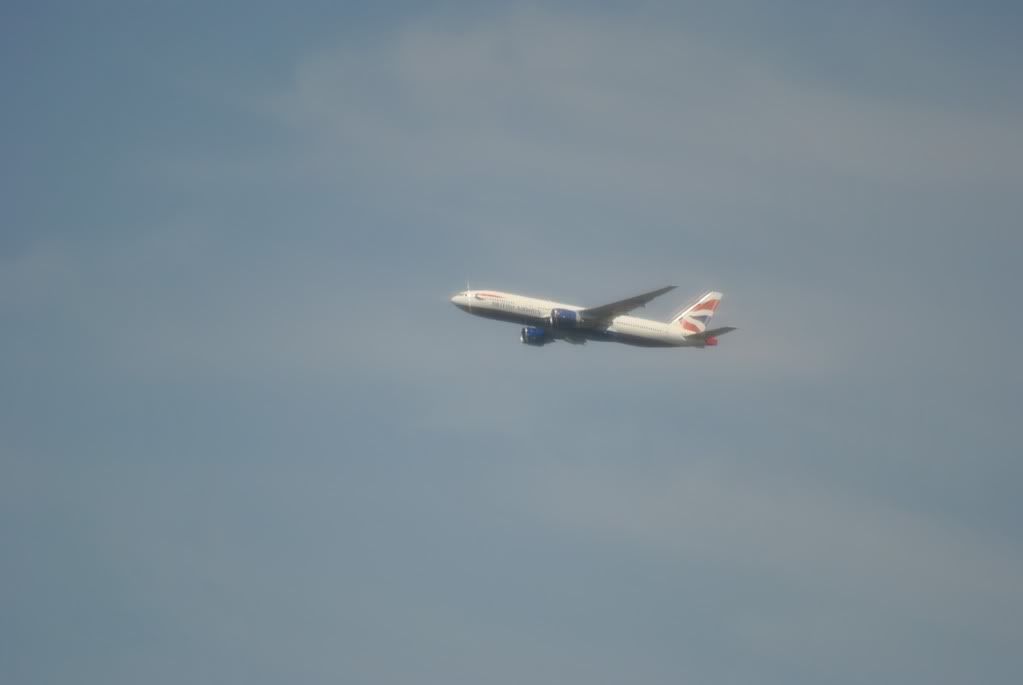 DSC_0001-1.jpg