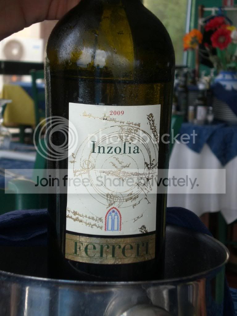 resized_Trapani292.jpg