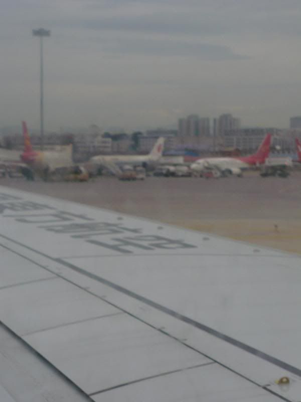 P1000961.jpg
