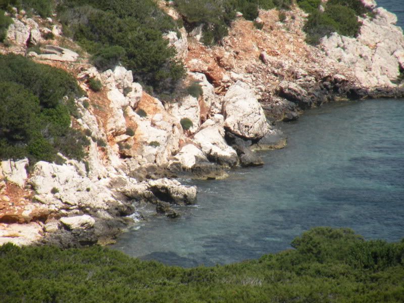 DSCN8315.jpg