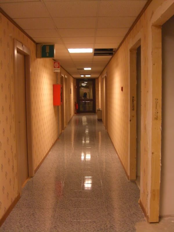 CIMG8320.jpg