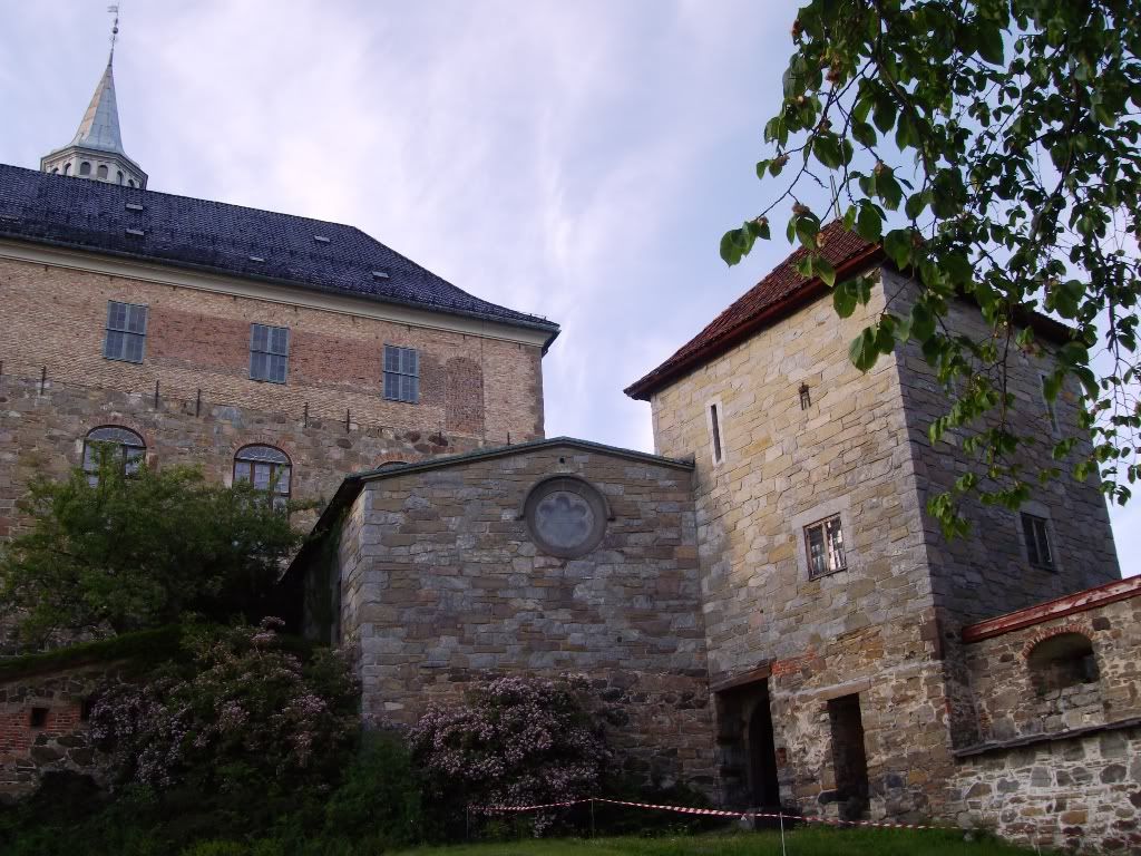 IMGP3007.jpg
