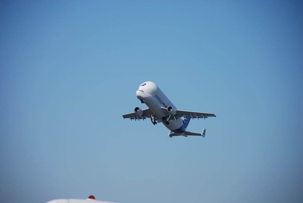 DSC_4120.jpg