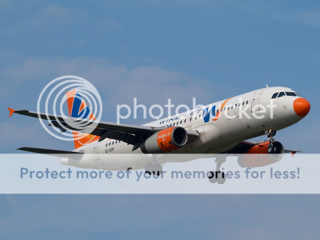AM239508.jpg