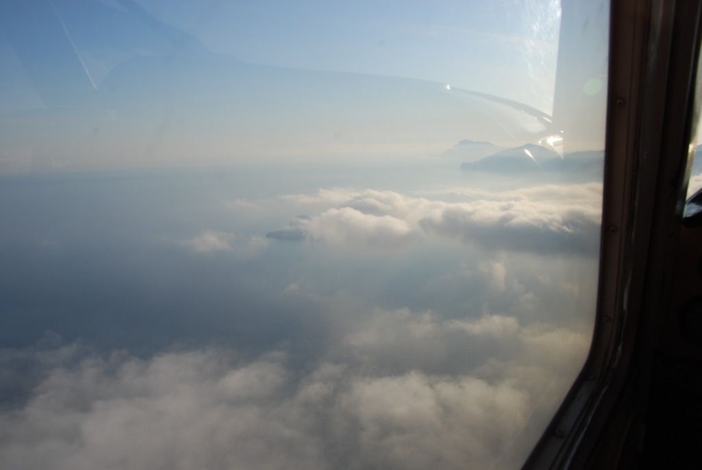 DSC_8559.jpg