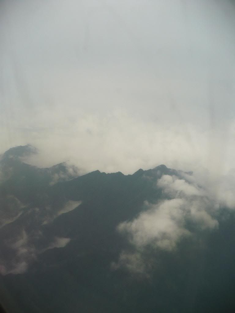 P1010456.jpg
