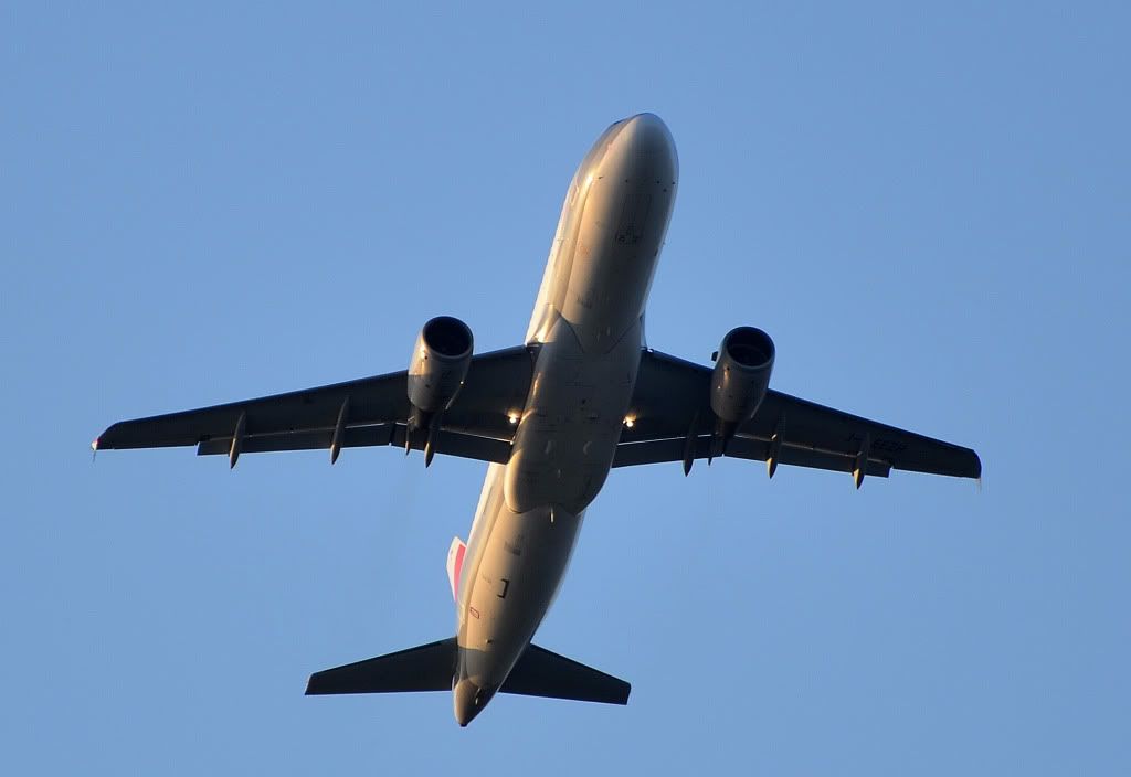 DSC_4007-1.jpg