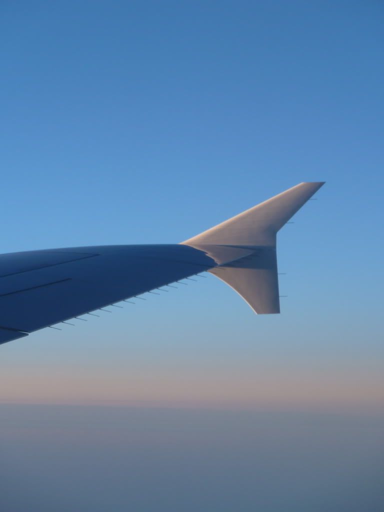 P1000821.jpg
