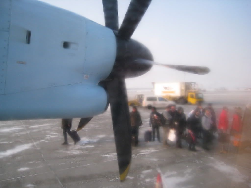 IMG_4246.jpg