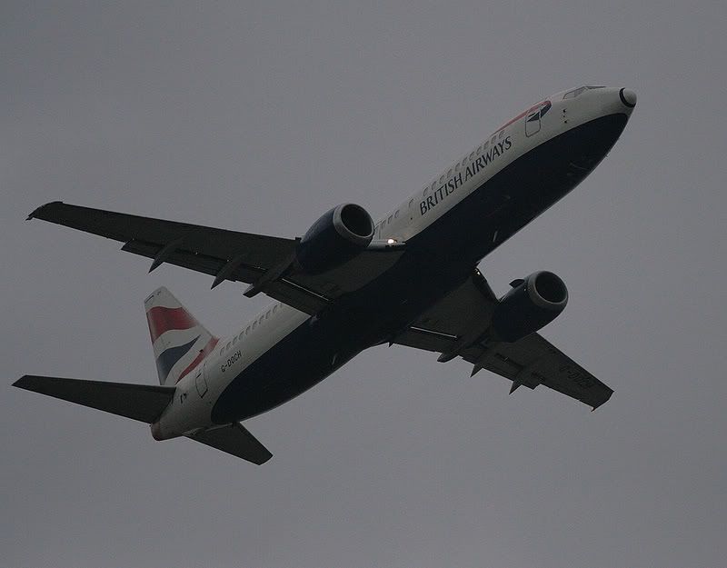 Speedbird-1.jpg