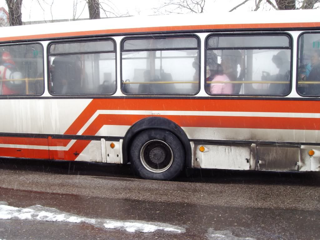 IMGP6254.jpg