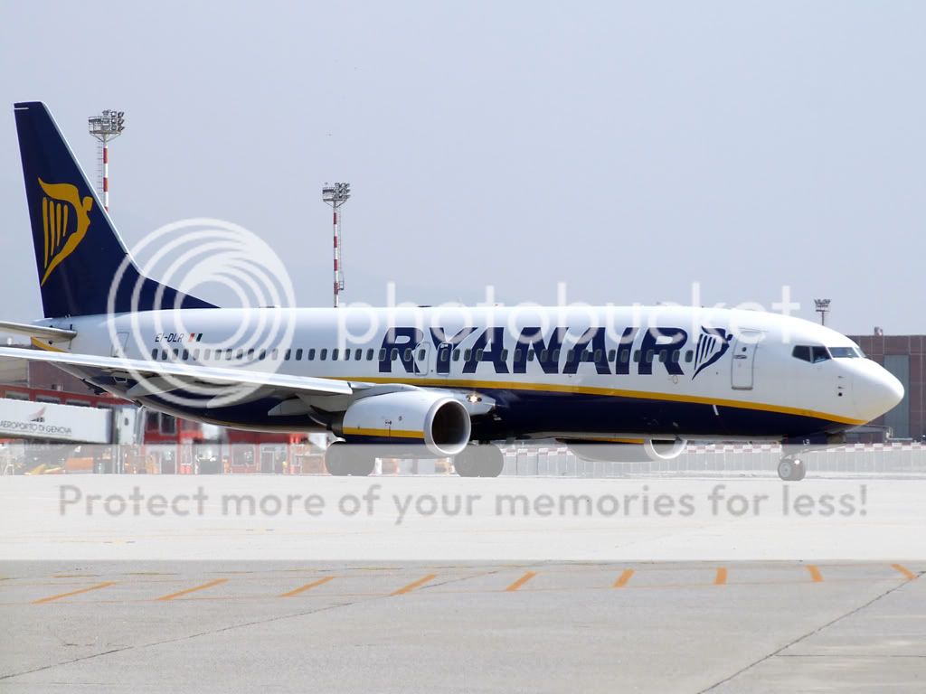 7374.jpg