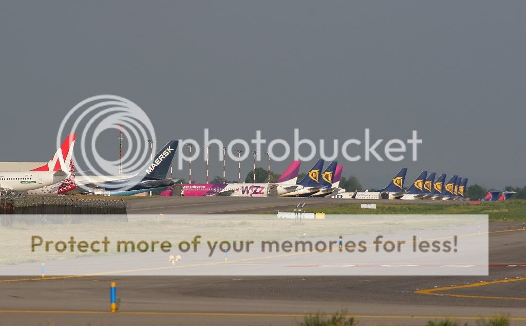 IMG_4796.jpg