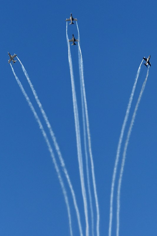 51503691328_464fc81020_c.jpg
