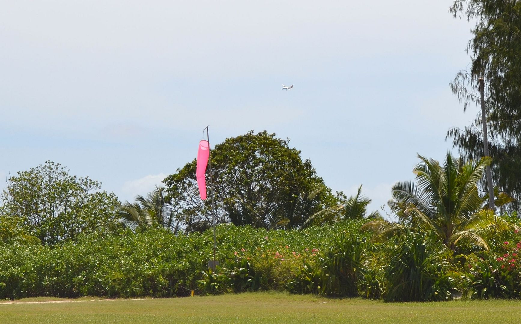 DSC_0361.jpg