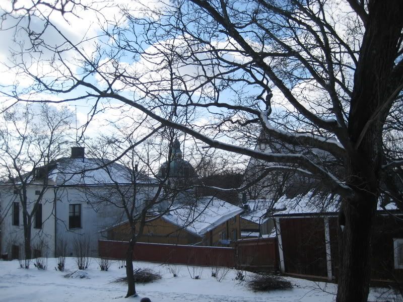IMG_2697.jpg
