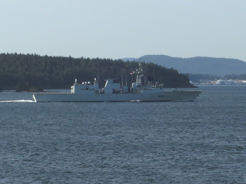 CIMG7931.jpg